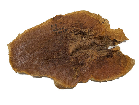 Brown Mallee Burl Cookies | 18" x 11" x 1" | 6.45 lbs | #728 - Exotic Wood Zone - Buy online Across USA 