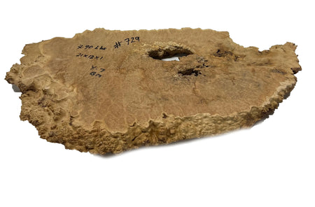 Brown Mallee Burl Cookies | 21" x 12" x 1" | 7.9 lbs | #729 - Exotic Wood Zone - Buy online Across USA 