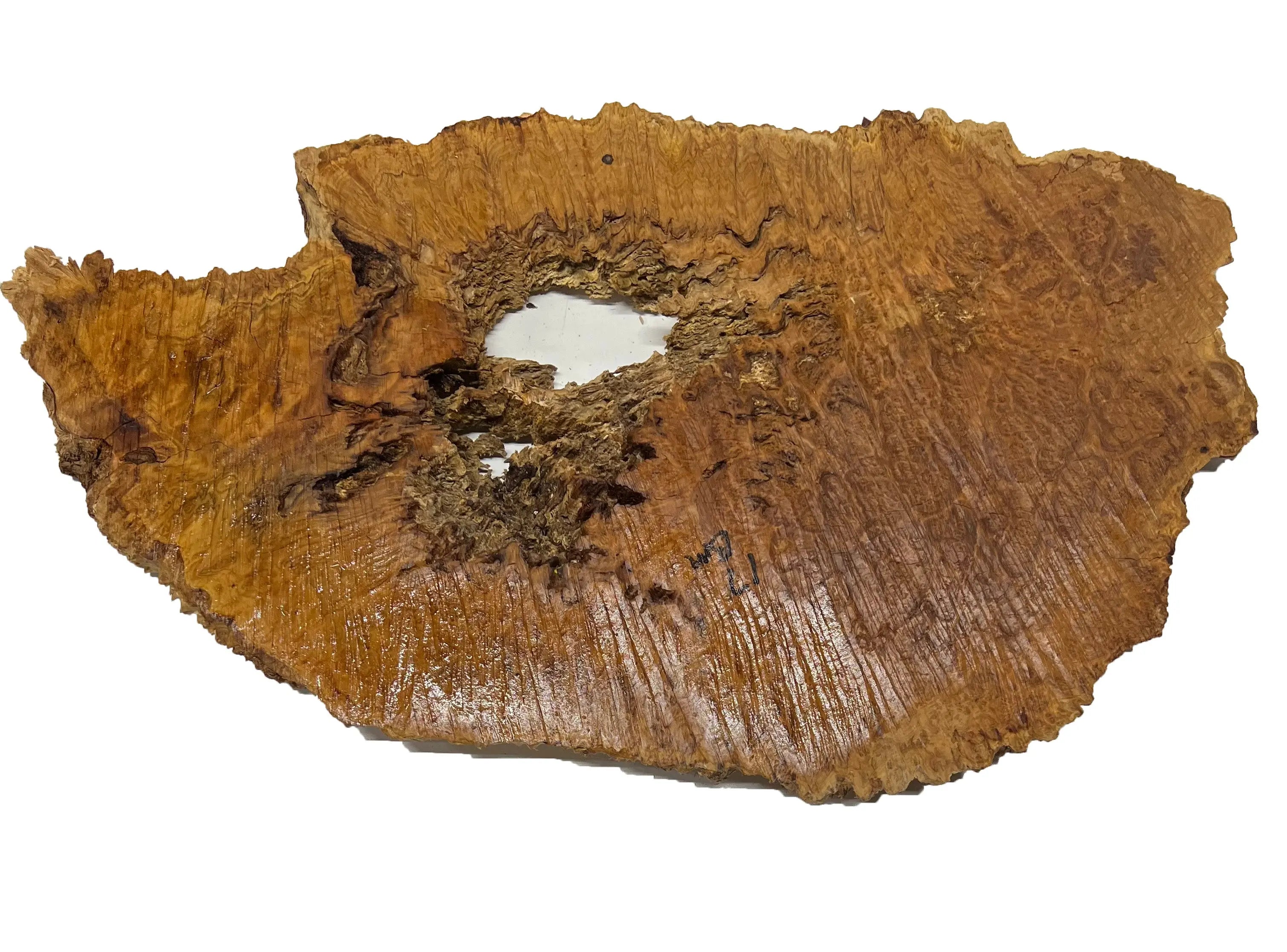 Brown Mallee Burl Cookies | 21" x 12" x 1" | 7.9 lbs | #729 - Exotic Wood Zone - Buy online Across USA 