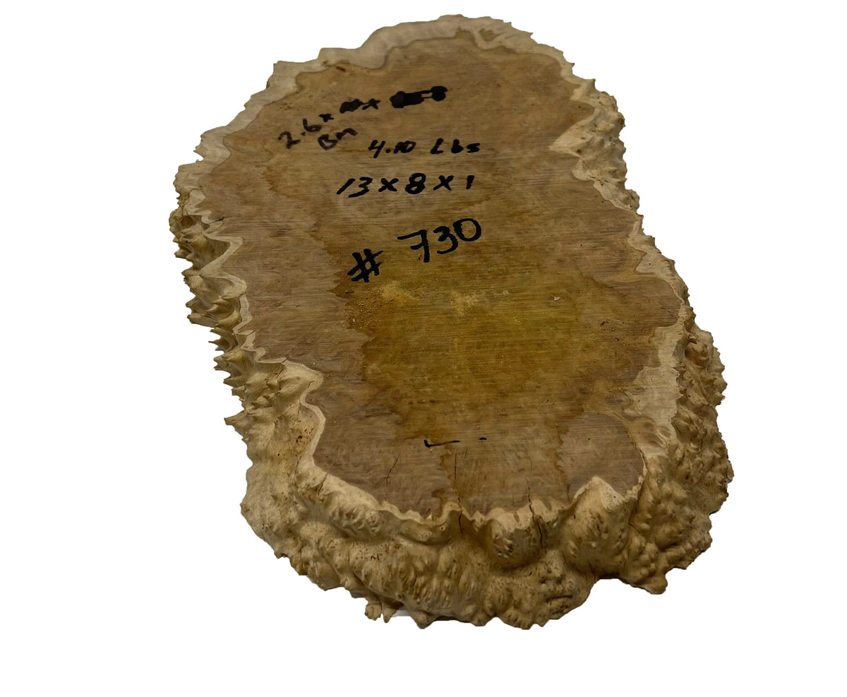 Brown Mallee Burl Cookies | 13" x 8" x 1" | 4.1 lbs | #730 - Exotic Wood Zone - Buy online Across USA 