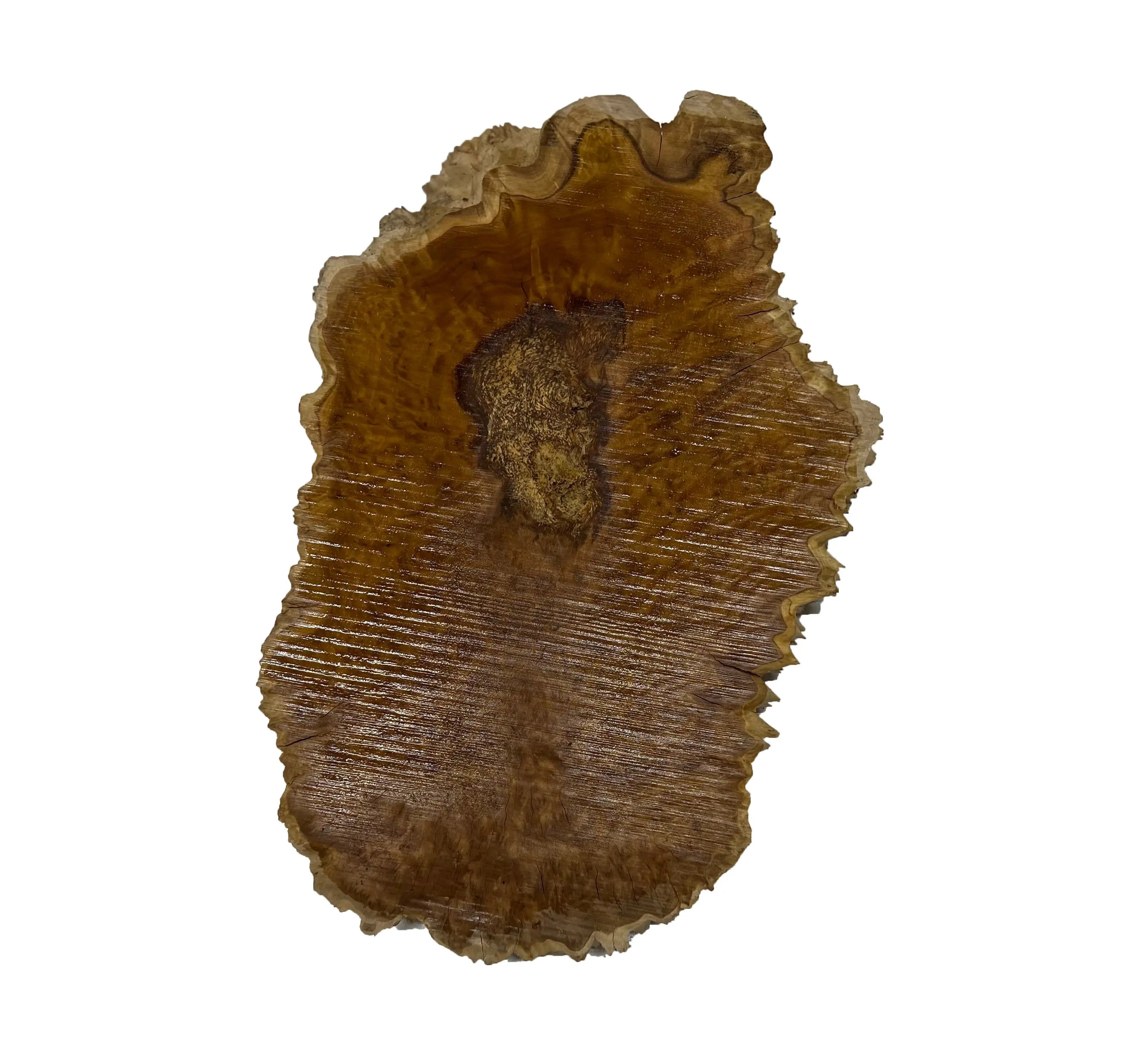 Brown Mallee Burl Cookies | 13" x 8" x 1" | 4.1 lbs | #730 - Exotic Wood Zone - Buy online Across USA 