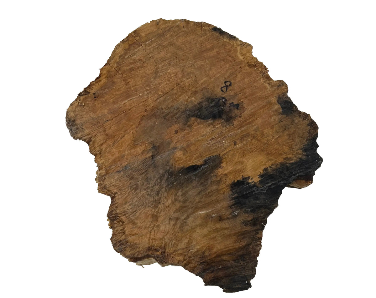 Brown Mallee Burl Cookies | 12-1/2" x 12" x 1" | 4.35 lbs | #733 - Exotic Wood Zone - Buy online Across USA 