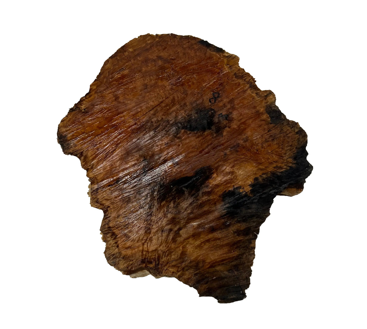 Brown Mallee Burl Cookies | 12-1/2" x 12" x 1" | 4.35 lbs | #733 - Exotic Wood Zone - Buy online Across USA 