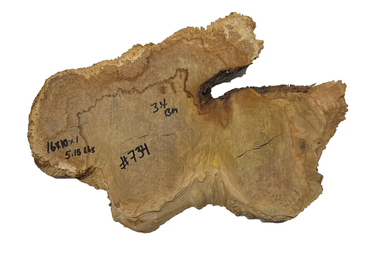 Brown Mallee Burl Cookies | 16" x 10" x 1" | 5.15 lbs | #734 - Exotic Wood Zone - Buy online Across USA 