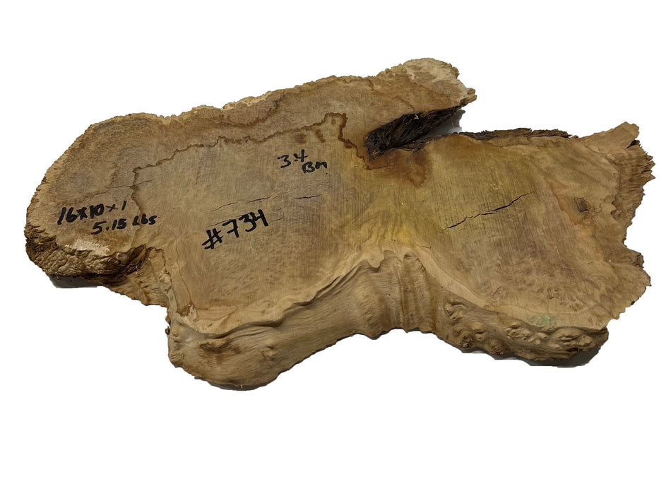 Brown Mallee Burl Cookies | 16" x 10" x 1" | 5.15 lbs | #734 - Exotic Wood Zone - Buy online Across USA 