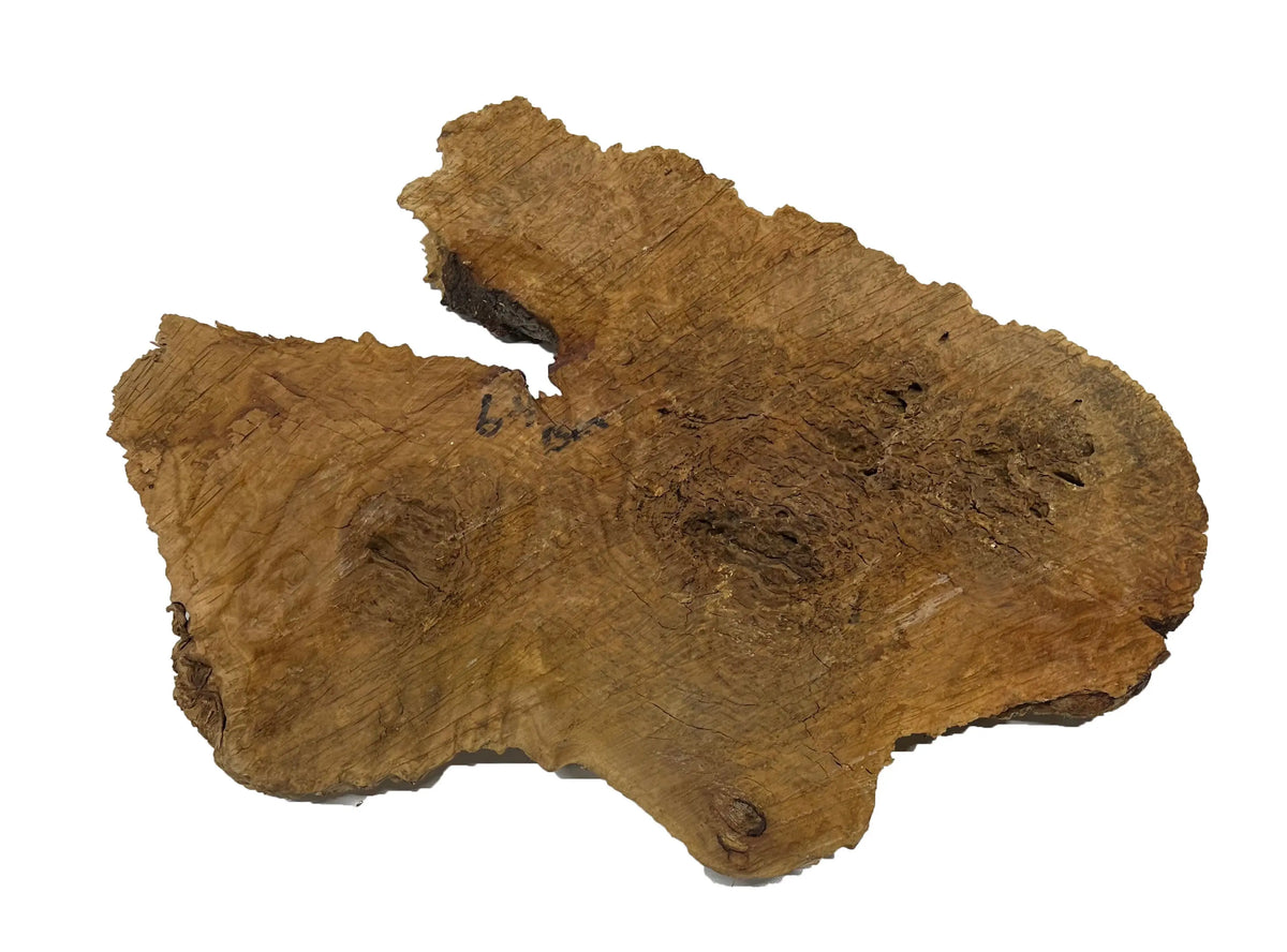 Brown Mallee Burl Cookies | 16" x 10" x 1" | 5.15 lbs | #734 - Exotic Wood Zone - Buy online Across USA 