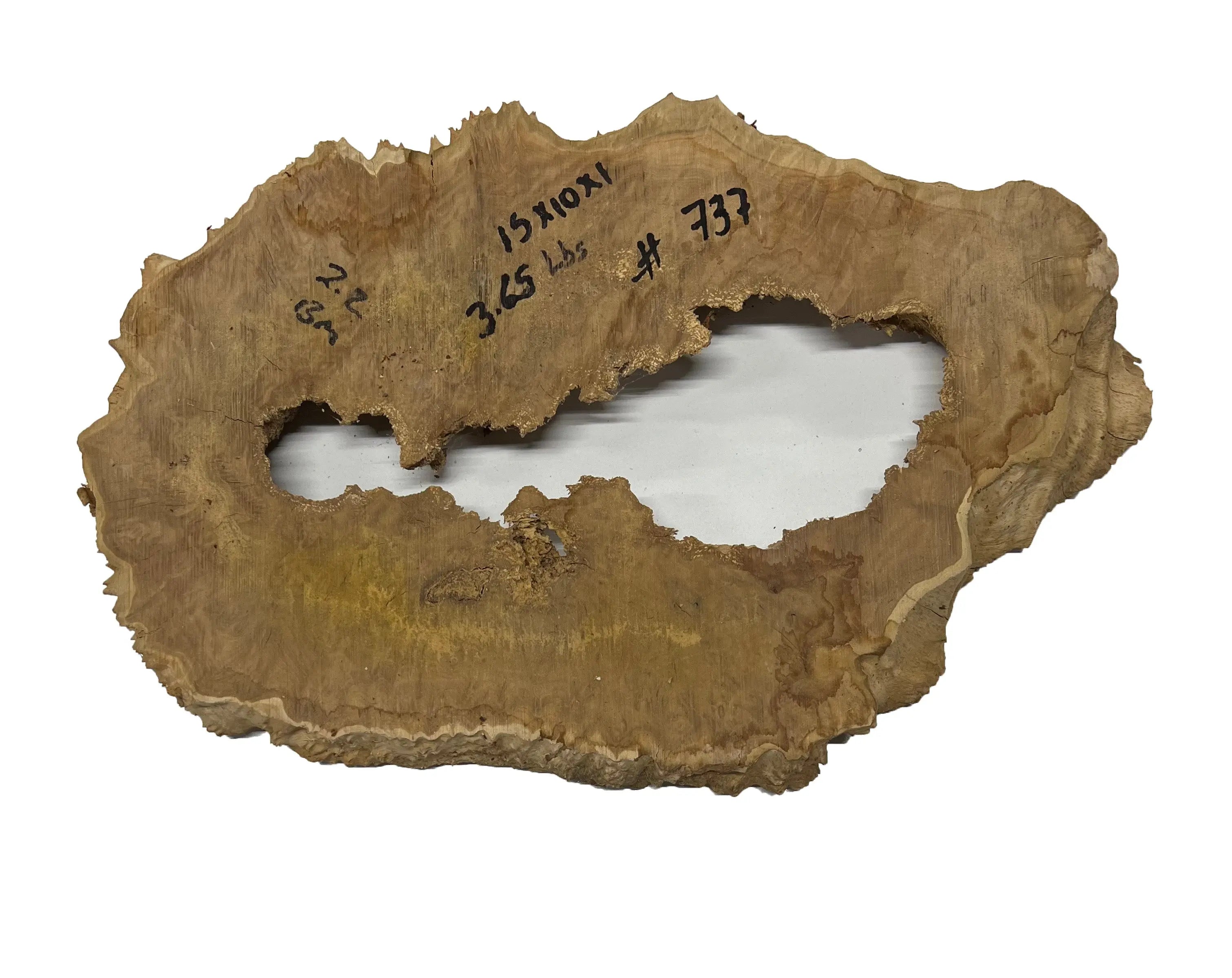 Brown Mallee Burl Cookies | 15" x 10" x 1" | 3.65 lbs | #737 - Exotic Wood Zone - Buy online Across USA 