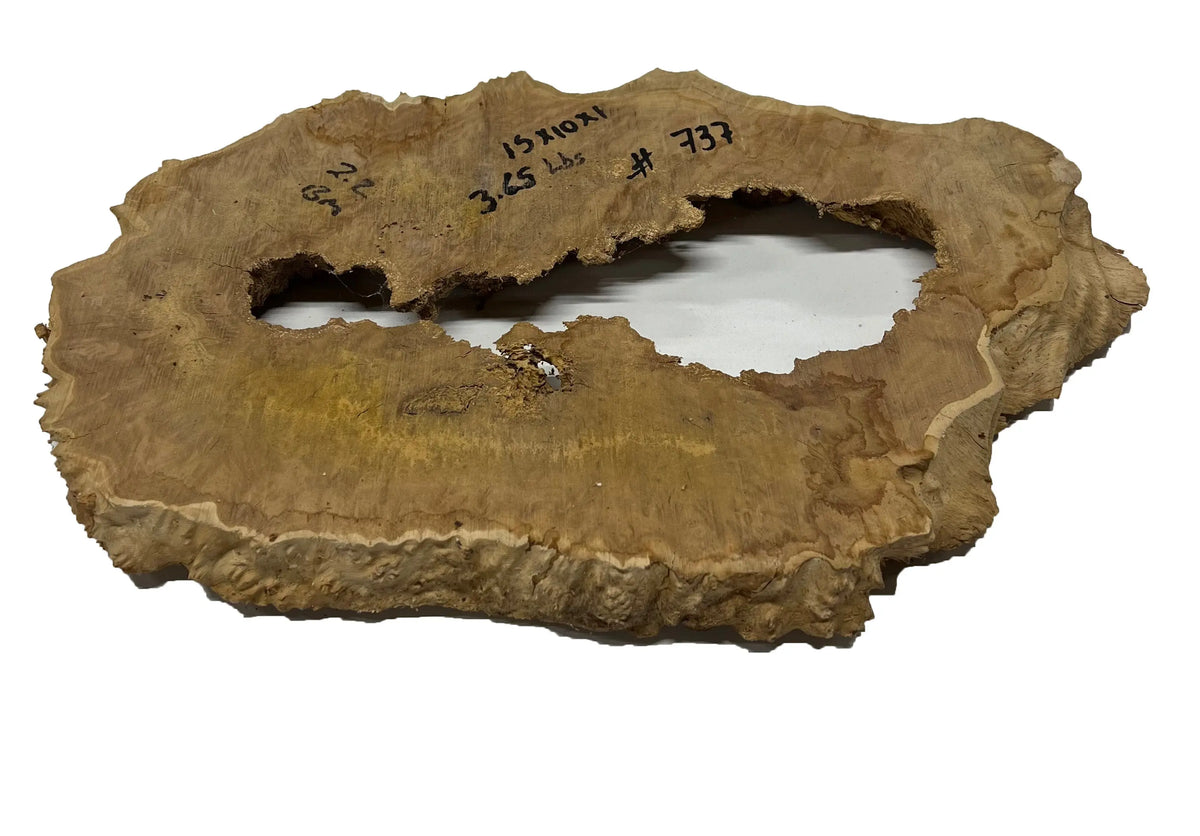 Brown Mallee Burl Cookies | 15" x 10" x 1" | 3.65 lbs | #737 - Exotic Wood Zone - Buy online Across USA 