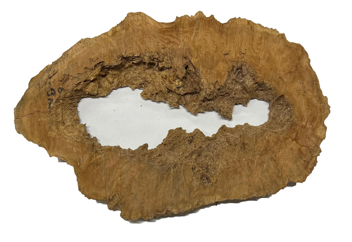 Brown Mallee Burl Cookies | 15" x 10" x 1" | 3.65 lbs | #737 - Exotic Wood Zone - Buy online Across USA 