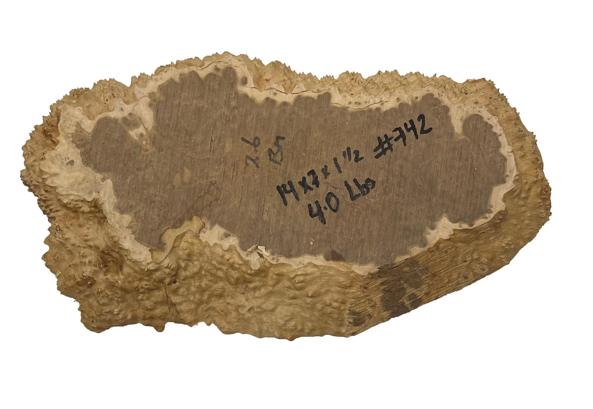 Brown Mallee Burl Cookies | 14" x 7" x 1-1/2" | 4 lbs | #742 - Exotic Wood Zone - Buy online Across USA 