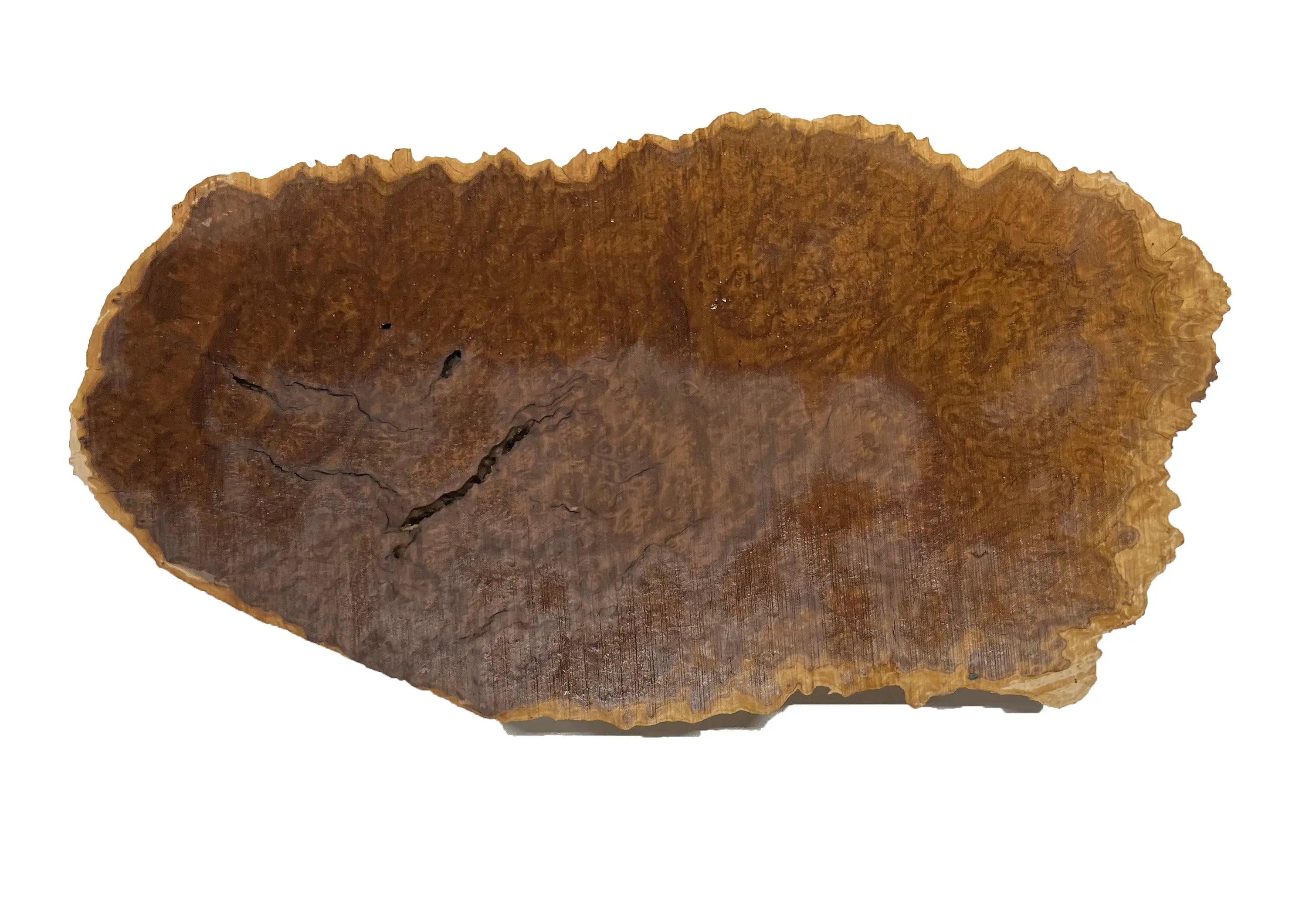 Brown Mallee Burl Cookies | 14" x 7" x 1-1/2" | 4 lbs | #742 - Exotic Wood Zone - Buy online Across USA 