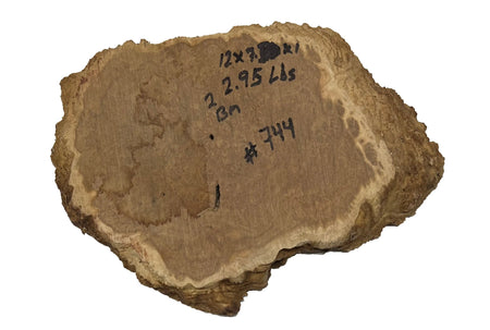 Brown Mallee Burl Cookies | 12" x 7" x 1" | 2.95 lbs | #744 - Exotic Wood Zone - Buy online Across USA 