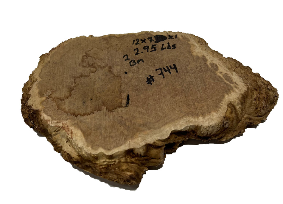 Brown Mallee Burl Cookies | 12" x 7" x 1" | 2.95 lbs | #744 - Exotic Wood Zone - Buy online Across USA 