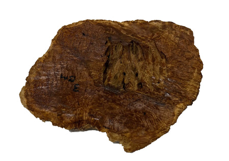 Brown Mallee Burl Cookies | 12" x 7" x 1" | 2.95 lbs | #744 - Exotic Wood Zone - Buy online Across USA 