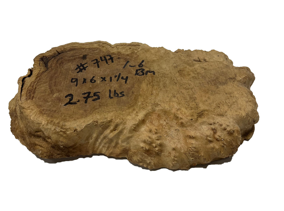 Brown Mallee Burl Cookies | 9" x 6" x 1-1/4" | 2.75 lbs | #747 - Exotic Wood Zone - Buy online Across USA 