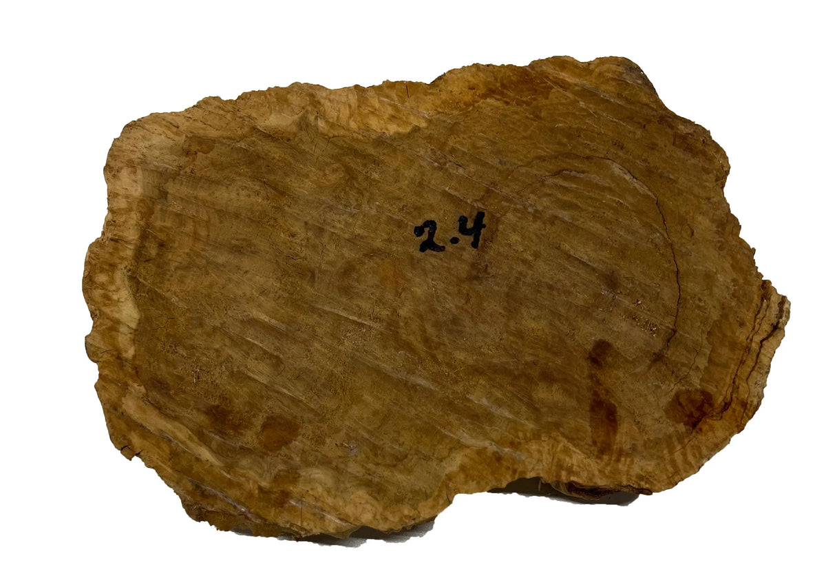 Brown Mallee Burl Cookies | 9" x 6" x 1-1/4" | 2.75 lbs | #747 - Exotic Wood Zone - Buy online Across USA 