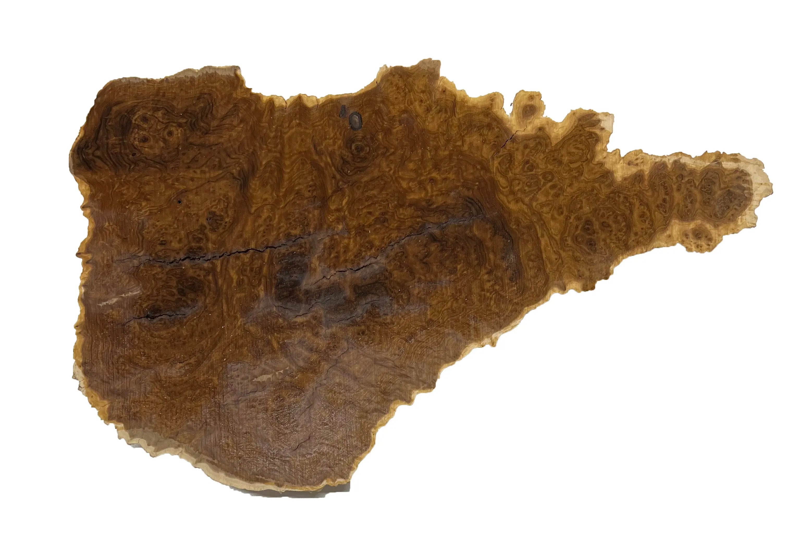 Brown Mallee Burl Cookies | 12" x 9" x 1" | 4.8 lbs | #748 - Exotic Wood Zone - Buy online Across USA 