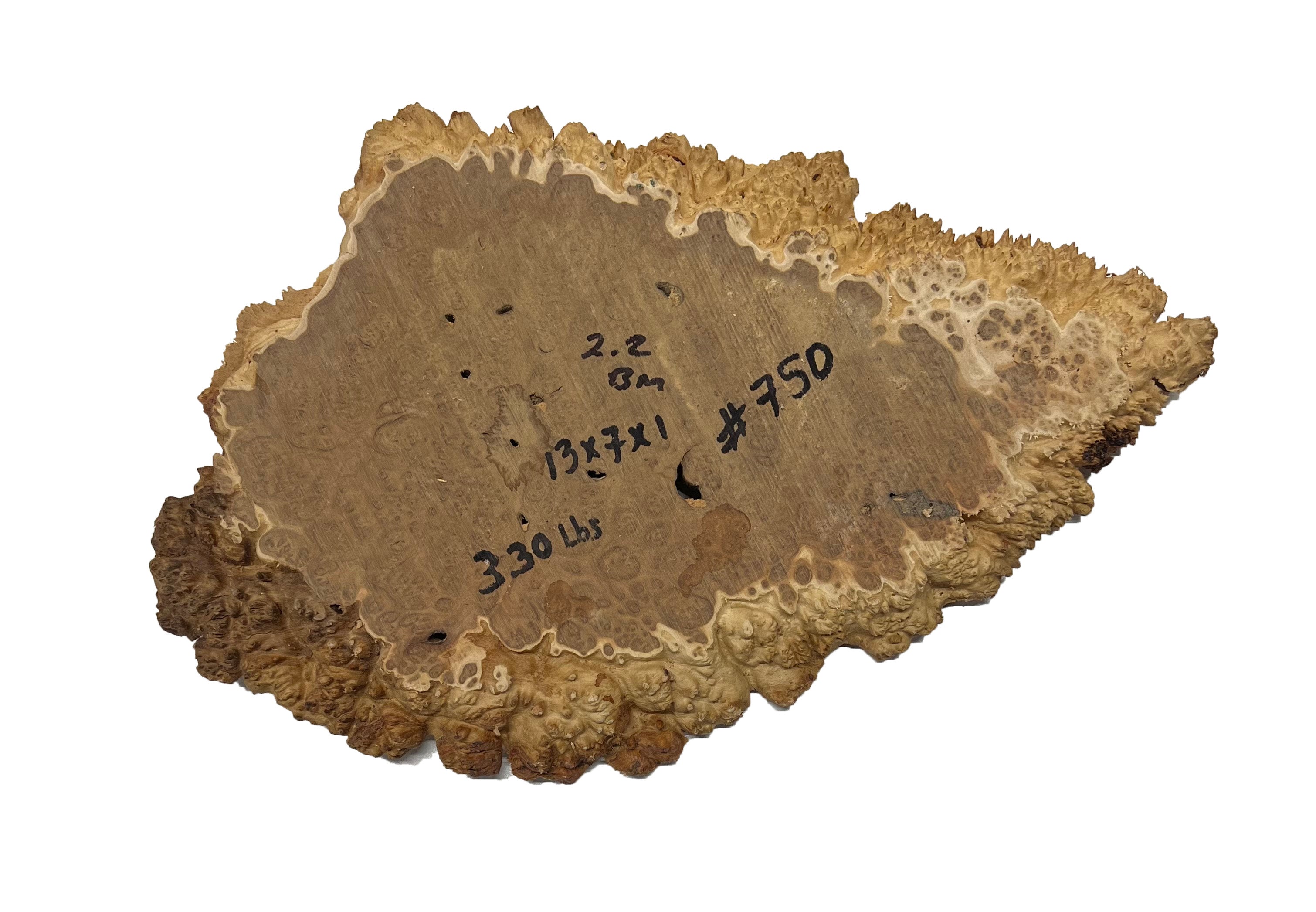 Brown Mallee Burl Cookies | 13" x 7" x 1" | 3.3 lbs | #750 - Exotic Wood Zone - Buy online Across USA 