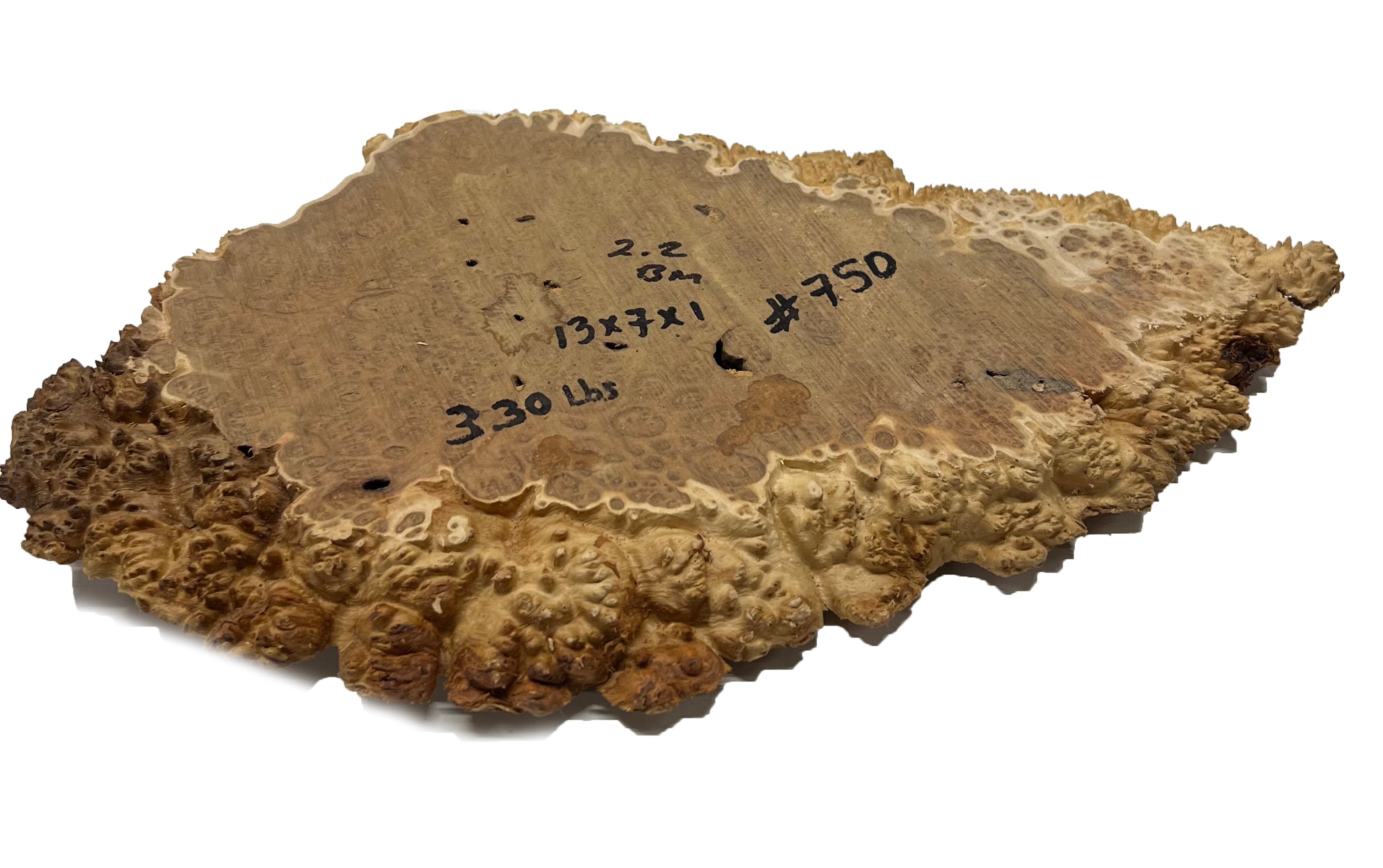 Brown Mallee Burl Cookies | 13" x 7" x 1" | 3.3 lbs | #750 - Exotic Wood Zone - Buy online Across USA 