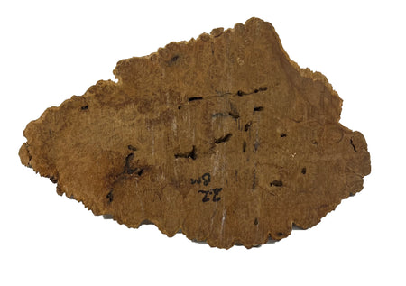 Brown Mallee Burl Cookies | 13" x 7" x 1" | 3.3 lbs | #750 - Exotic Wood Zone - Buy online Across USA 