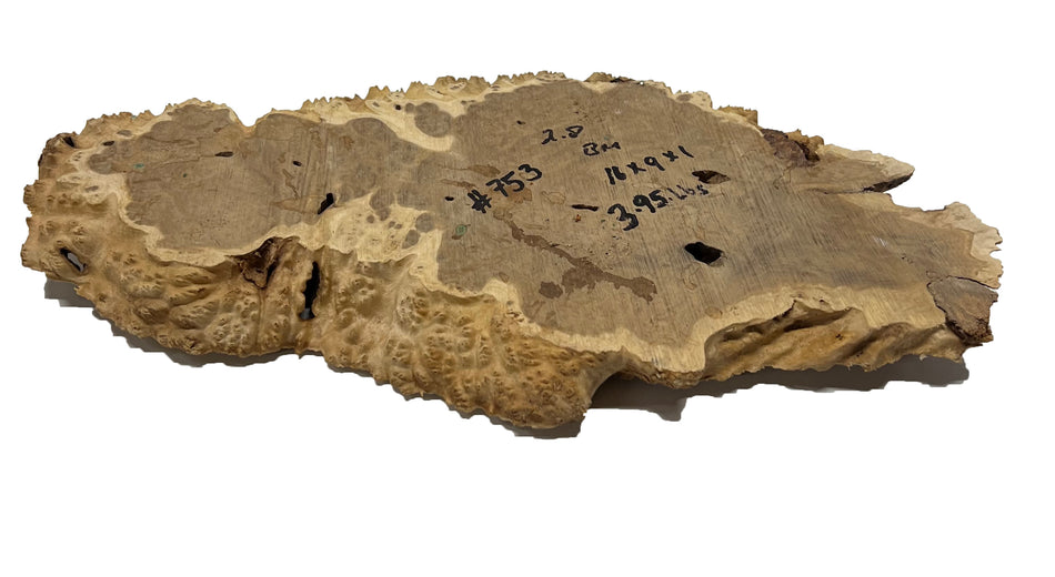 Brown Mallee Burl Cookies | 16" x 9" x 1" | 3.95 lbs | #753 - Exotic Wood Zone - Buy online Across USA 