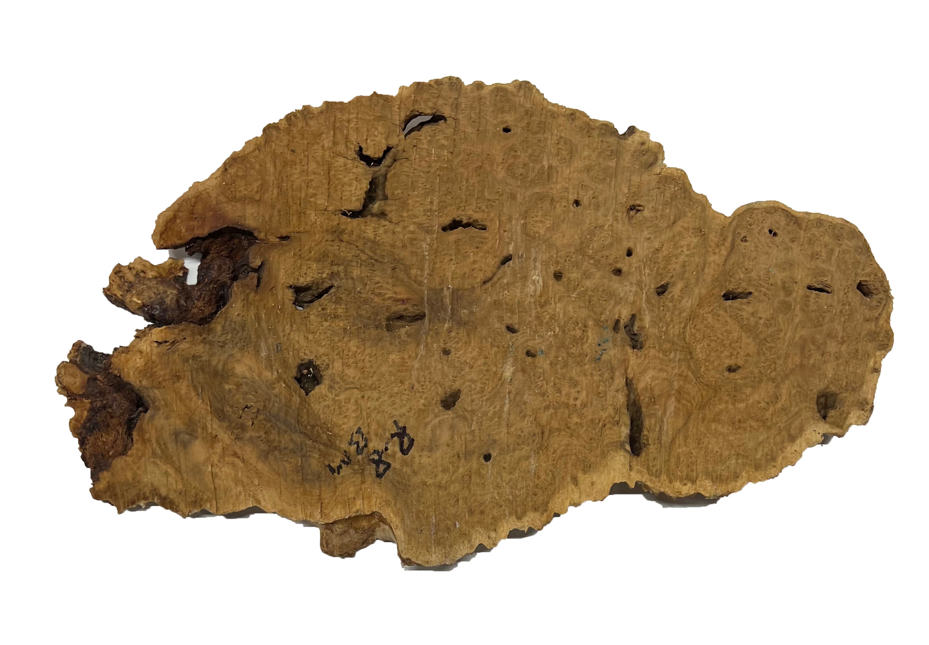 Brown Mallee Burl Cookies | 16" x 9" x 1" | 3.95 lbs | #753 - Exotic Wood Zone - Buy online Across USA 