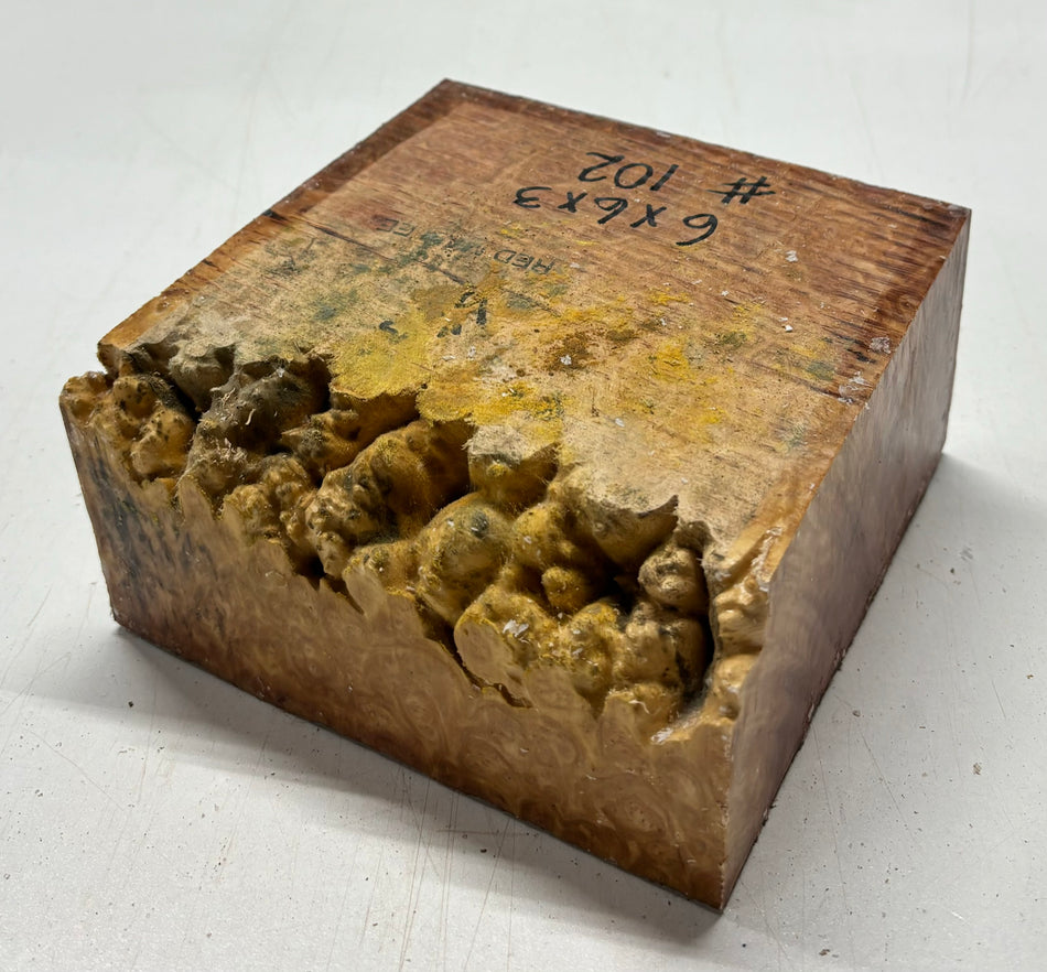 Cuenco de caja amarillo australiano en blanco, 6 x 6 x 3 pulgadas, 2,5 libras | #407