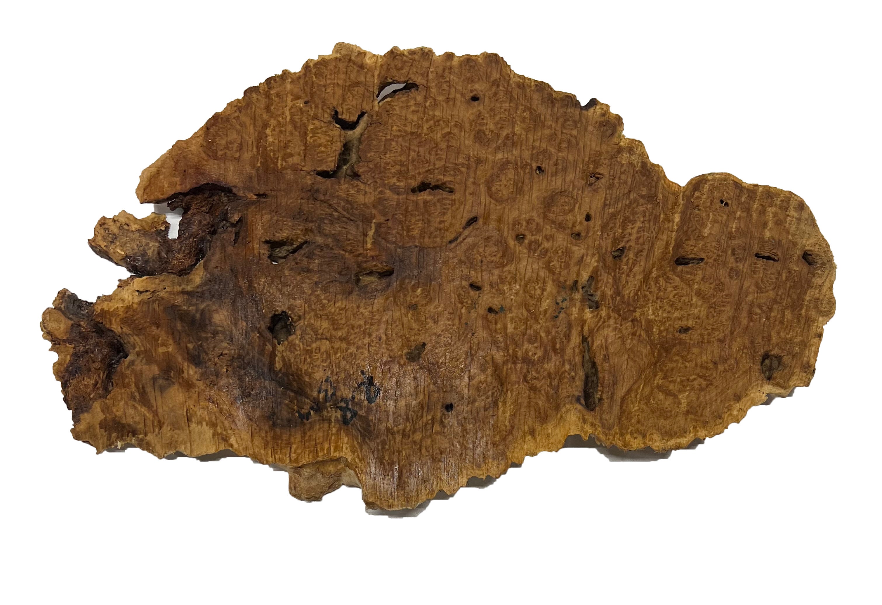 Brown Mallee Burl Cookies | 16" x 9" x 1" | 3.95 lbs | #753 - Exotic Wood Zone - Buy online Across USA 