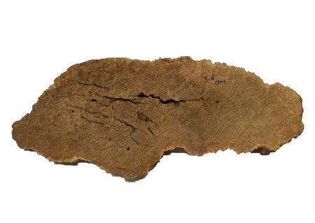 Brown Mallee Burl Cookies | 19" x 7" x 1-1/4" | 4.65 lbs | #759 - Exotic Wood Zone - Buy online Across USA 