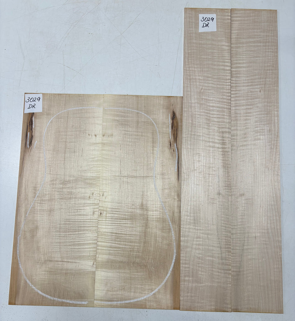 Tapa de arce spalted tostado al fuego, grado AAAA, tallada para guitarra - 20-3/4" x 7-1/2" x 1-1/4" #206