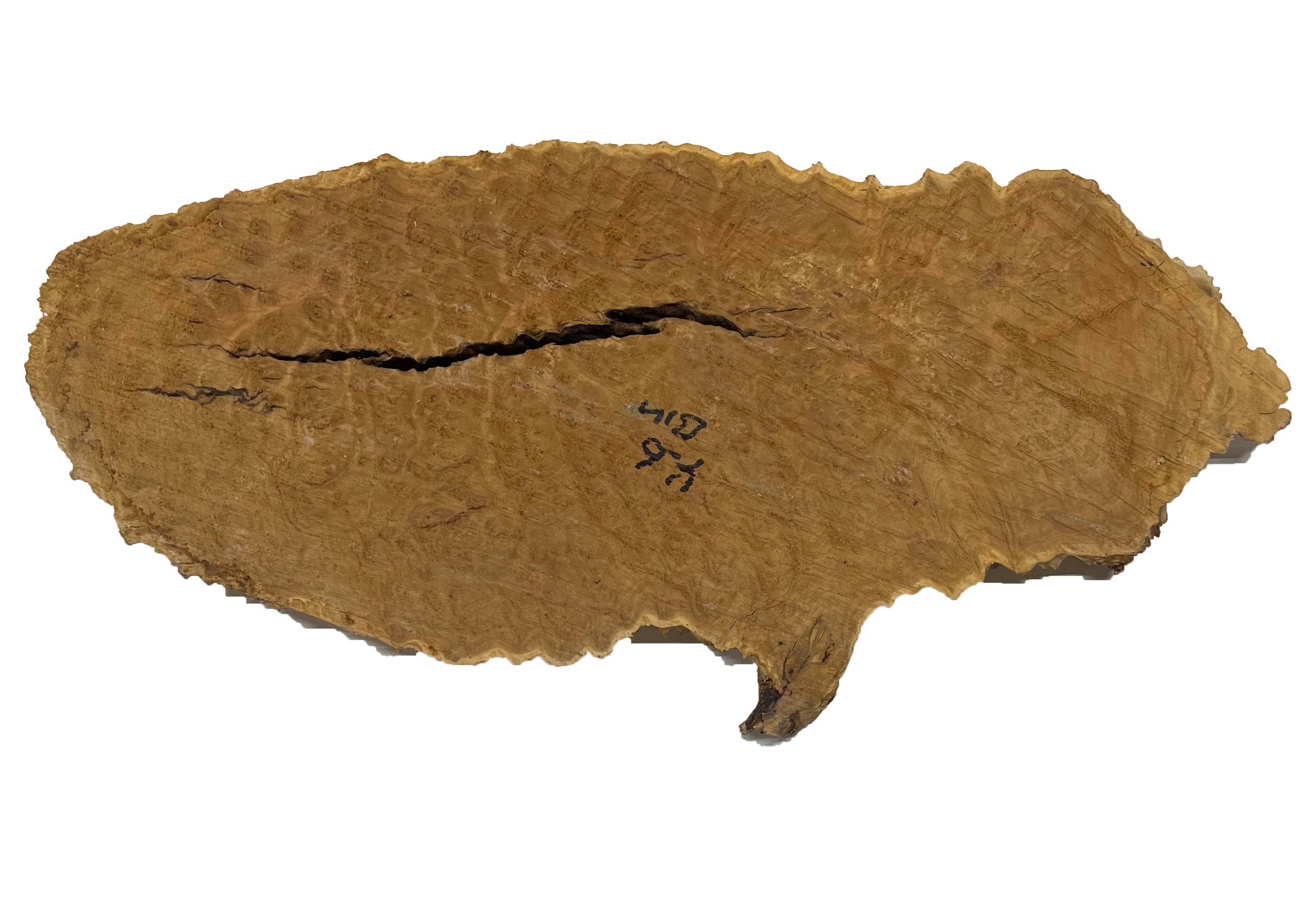 Brown Mallee Burl Cookies | 16" x 7" x 1" | 4.6 lbs | #761 - Exotic Wood Zone - Buy online Across USA 