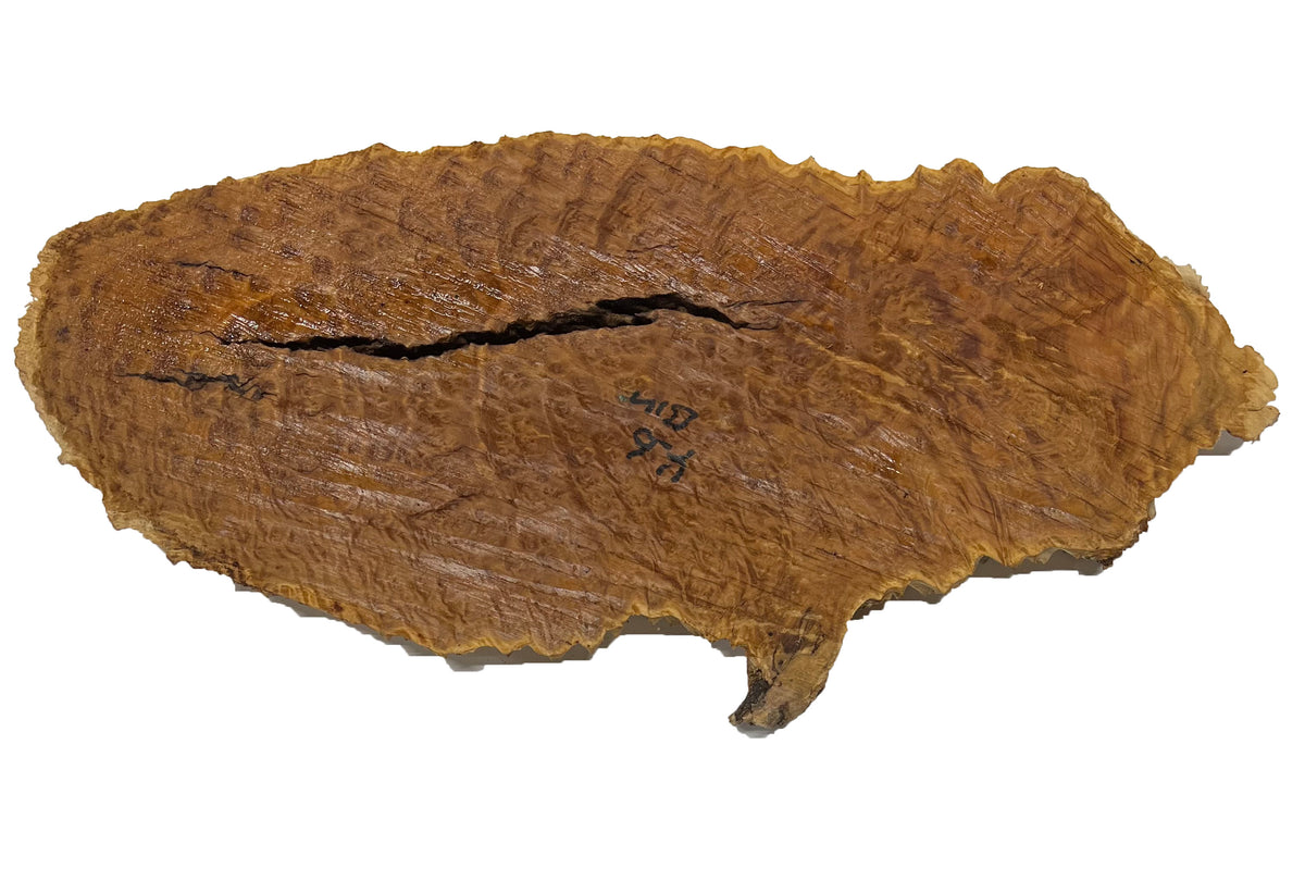 Brown Mallee Burl Cookies | 16" x 7" x 1" | 4.6 lbs | #761 - Exotic Wood Zone - Buy online Across USA 