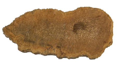 Brown Mallee Burl Cookies | 18" x 8" x 1" | 4.9 lbs | #763 - Exotic Wood Zone - Buy online Across USA 