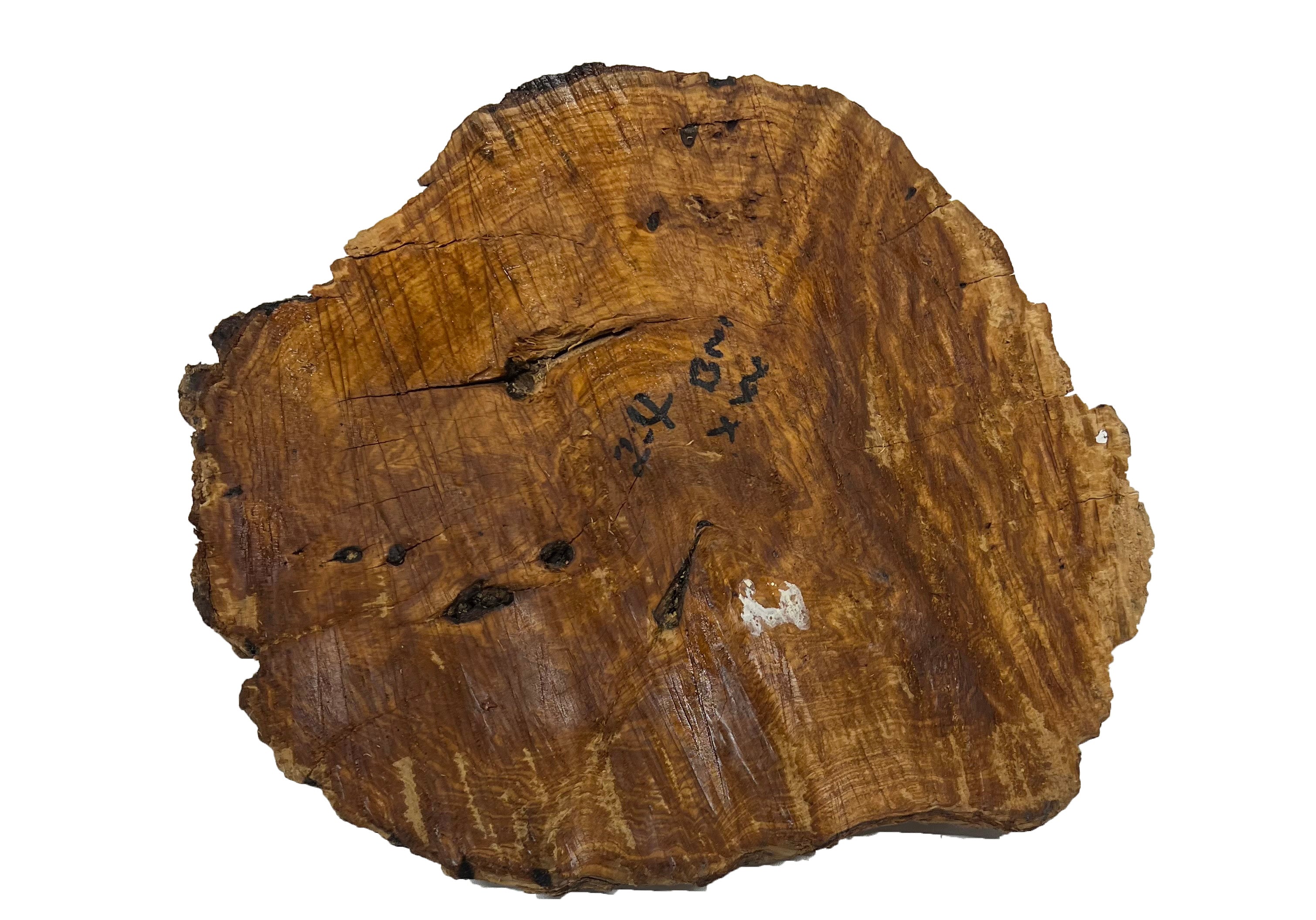 Brown Mallee Burl Cookies | 10" x 9" x 1" | 3.45 lbs | #764 - Exotic Wood Zone - Buy online Across USA 