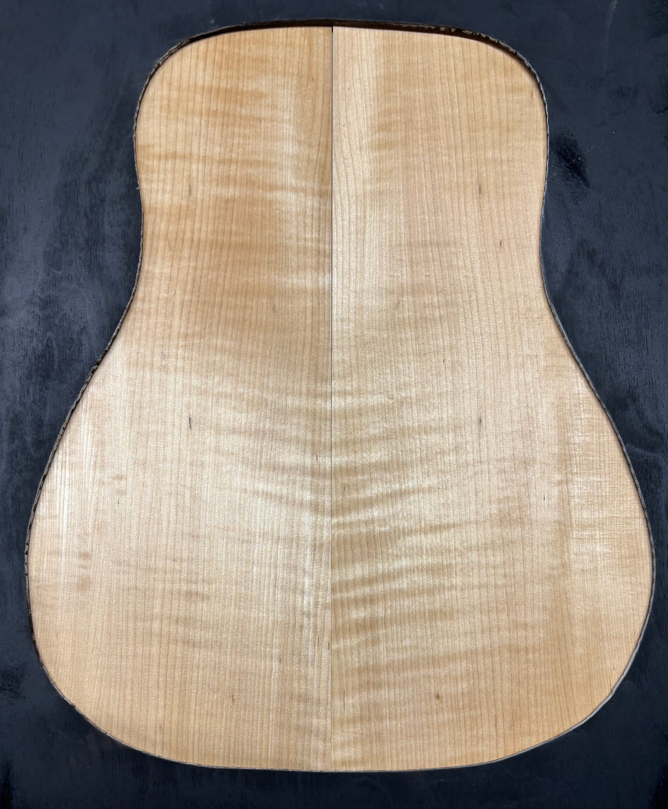 Tapa de arce spalted tostado al fuego, grado AAAA, tallada para guitarra - 20-3/4" x 7-1/2" x 1-1/4" #204