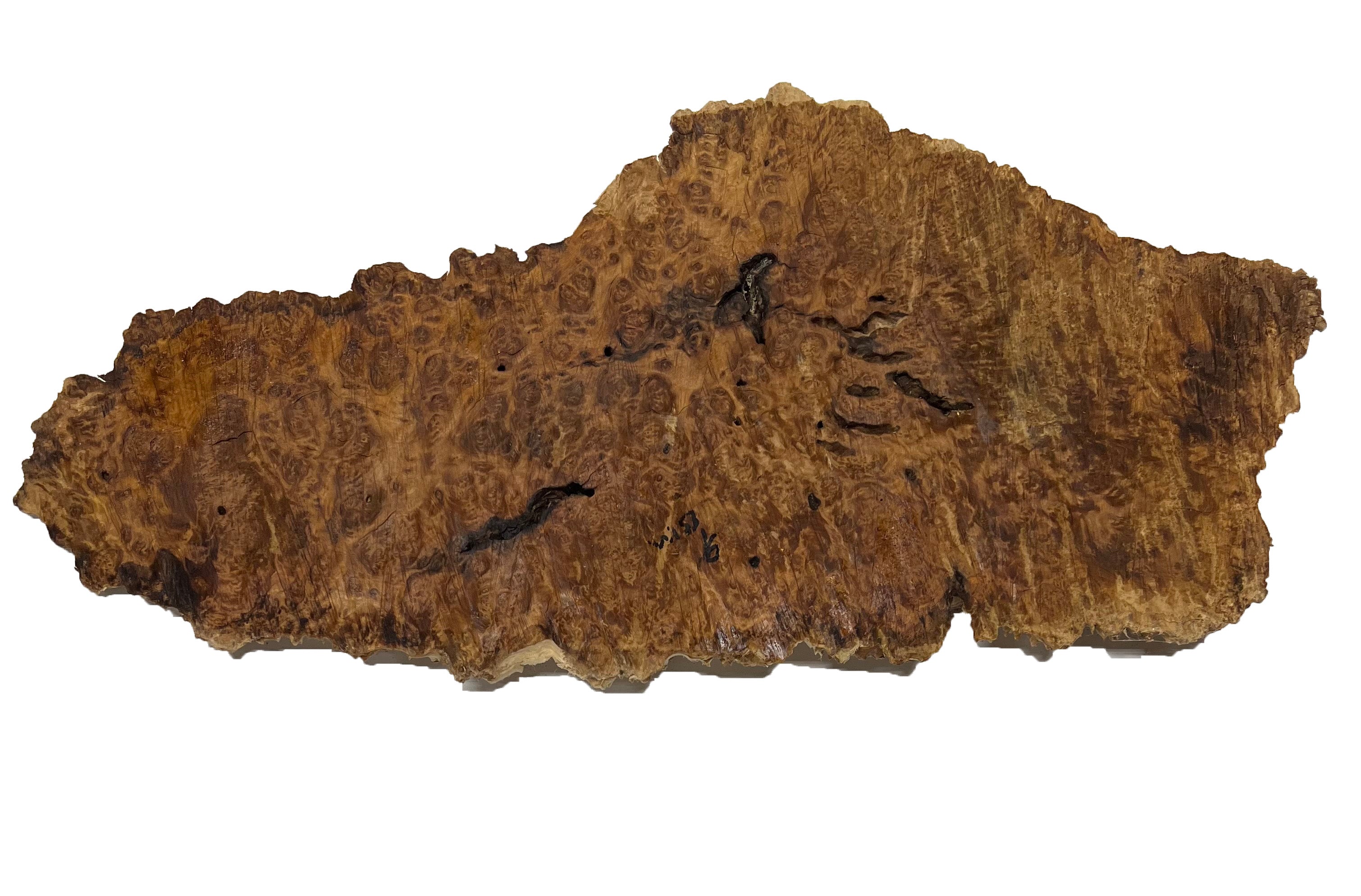 Brown Mallee Burl Cookies | 21" x 8" x 1" | 6 lbs | #767 - Exotic Wood Zone - Buy online Across USA 