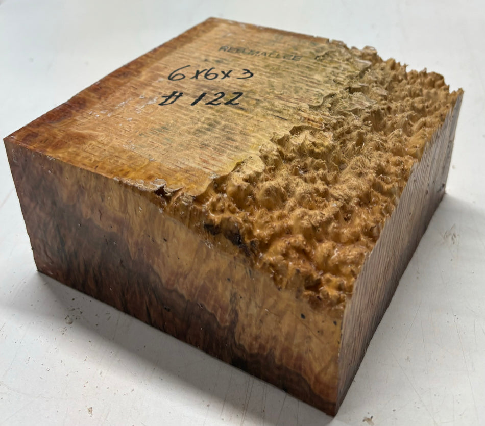 Cuenco de caja amarillo australiano en blanco, 6 x 6 x 3 pulgadas, 2,5 libras | #407