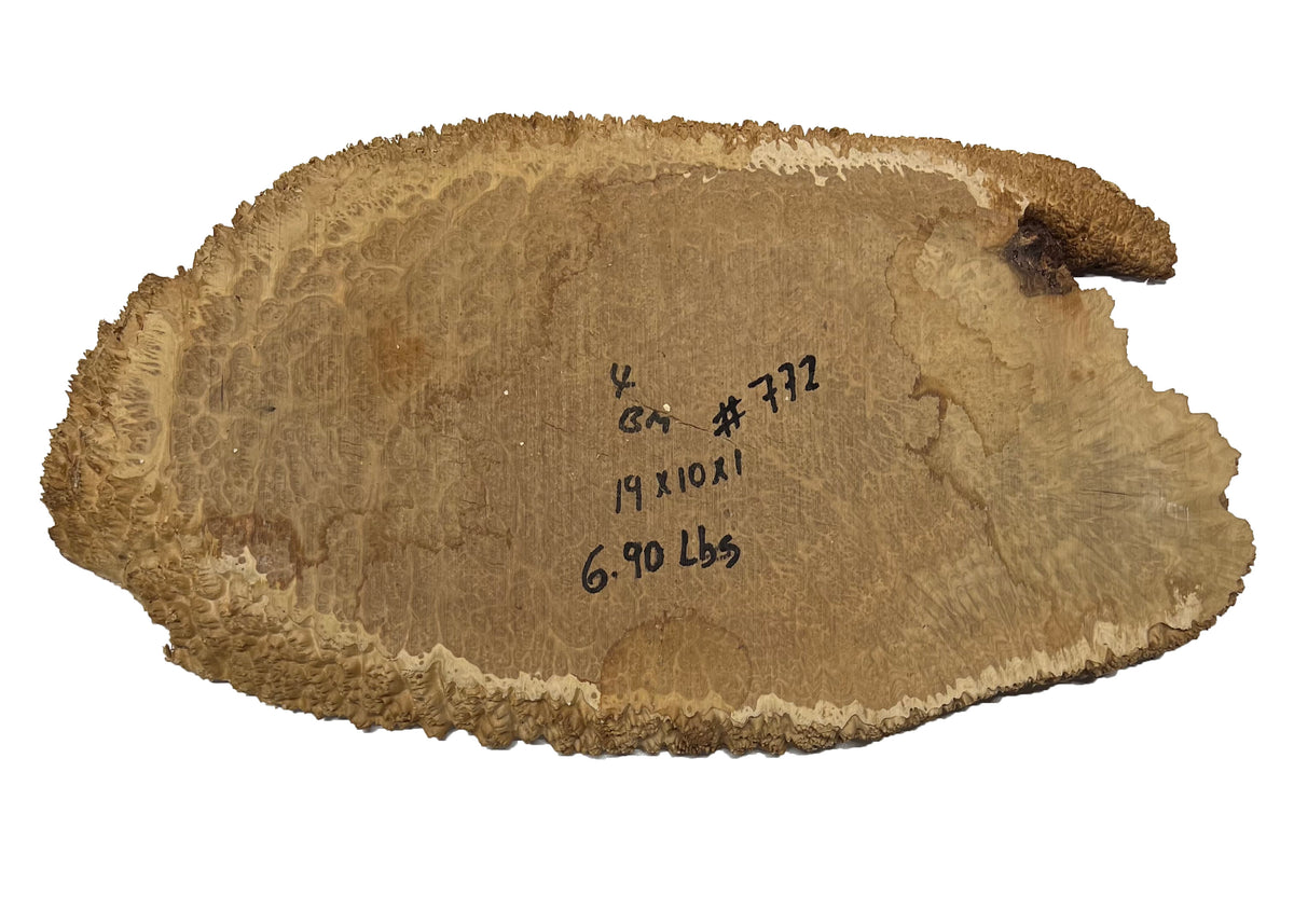 Brown Mallee Burl Cookies | 19" x 10" x 1" | 6.9 lbs | #772 - Exotic Wood Zone - Buy online Across USA 