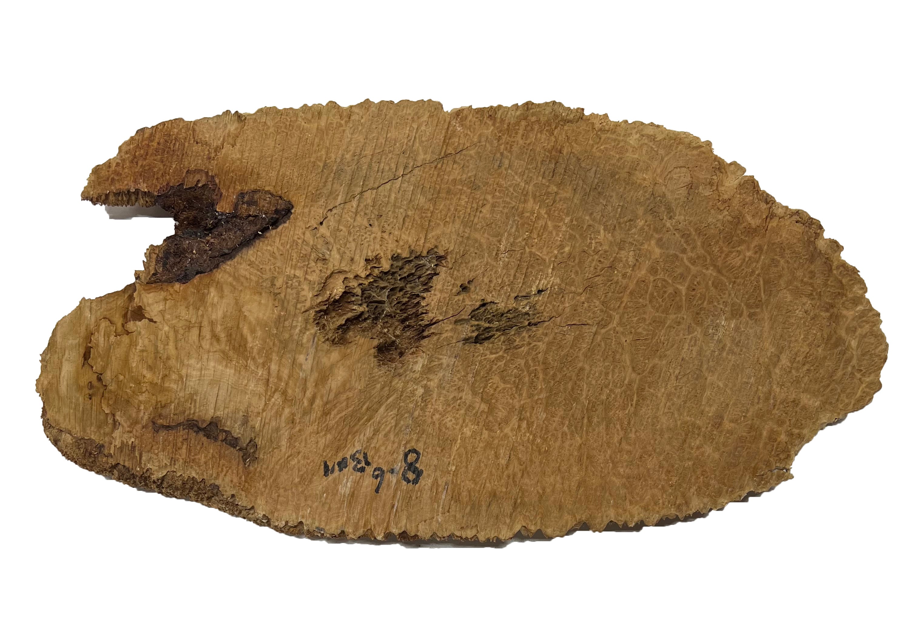 Brown Mallee Burl Cookies | 19" x 10" x 1" | 6.9 lbs | #772 - Exotic Wood Zone - Buy online Across USA 