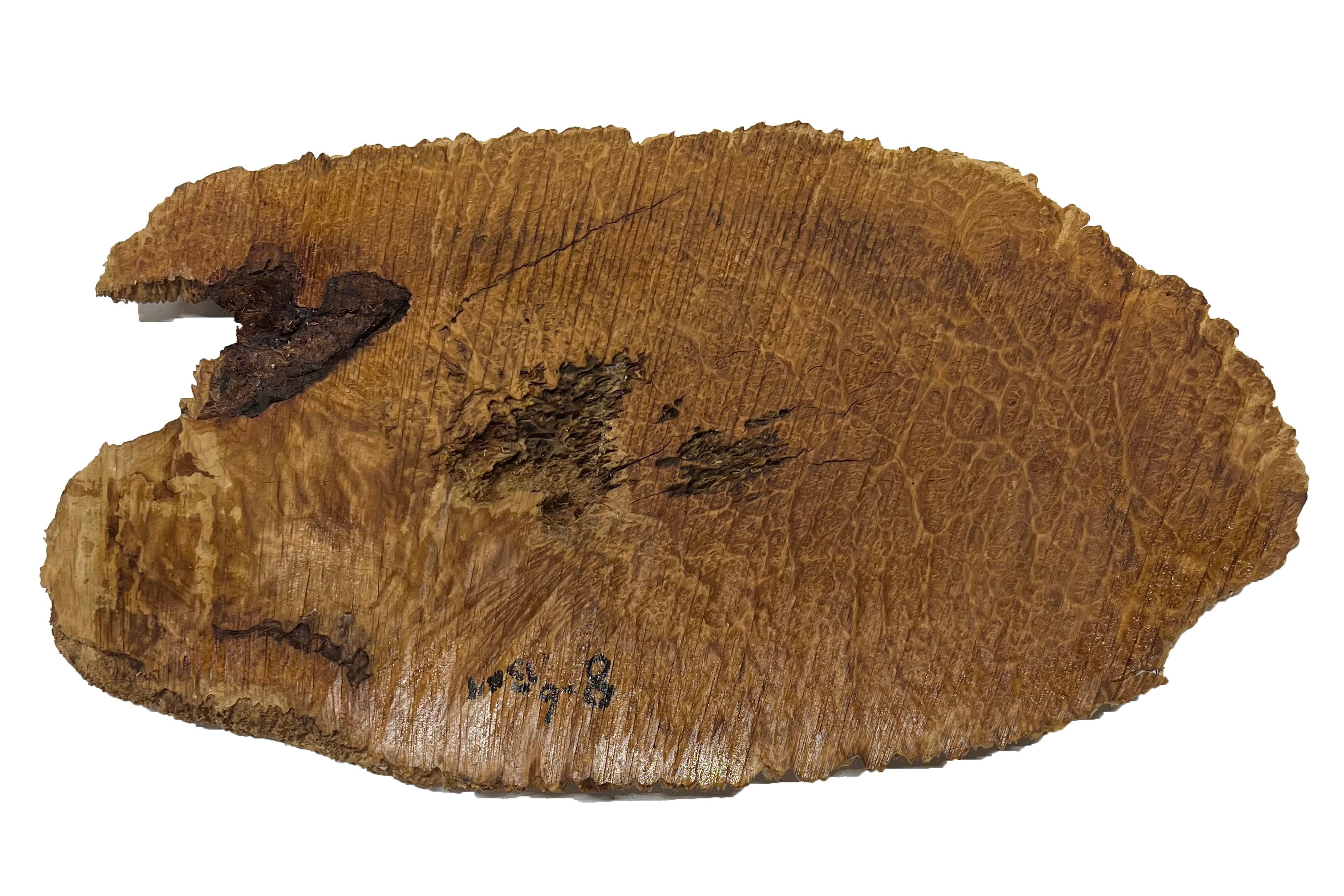 Brown Mallee Burl Cookies | 19" x 10" x 1" | 6.9 lbs | #772 - Exotic Wood Zone - Buy online Across USA 