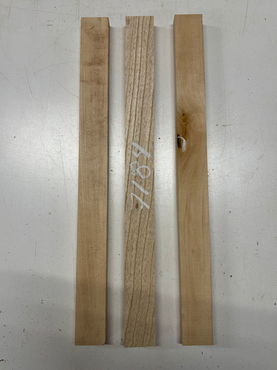3 Pack, 2 Species Basswood + Swamp Ash Thin Stock Lumber 21"x1-7/8"x1"#7184