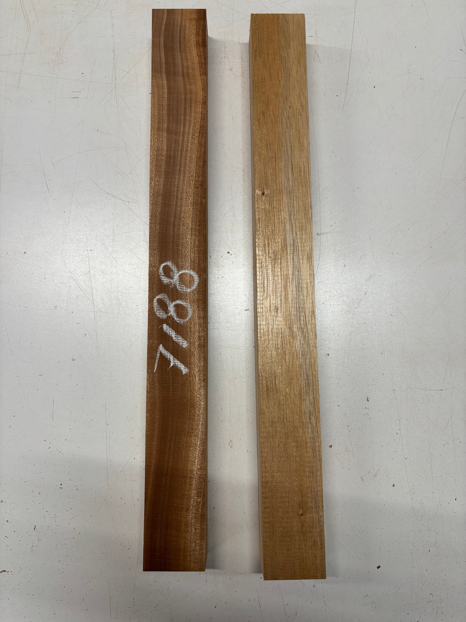 2 Pack, 2 Species Sapele + Spanish Cedar Guitar Neck Blanks 25"x2-1/2"x1-7/8"#7188