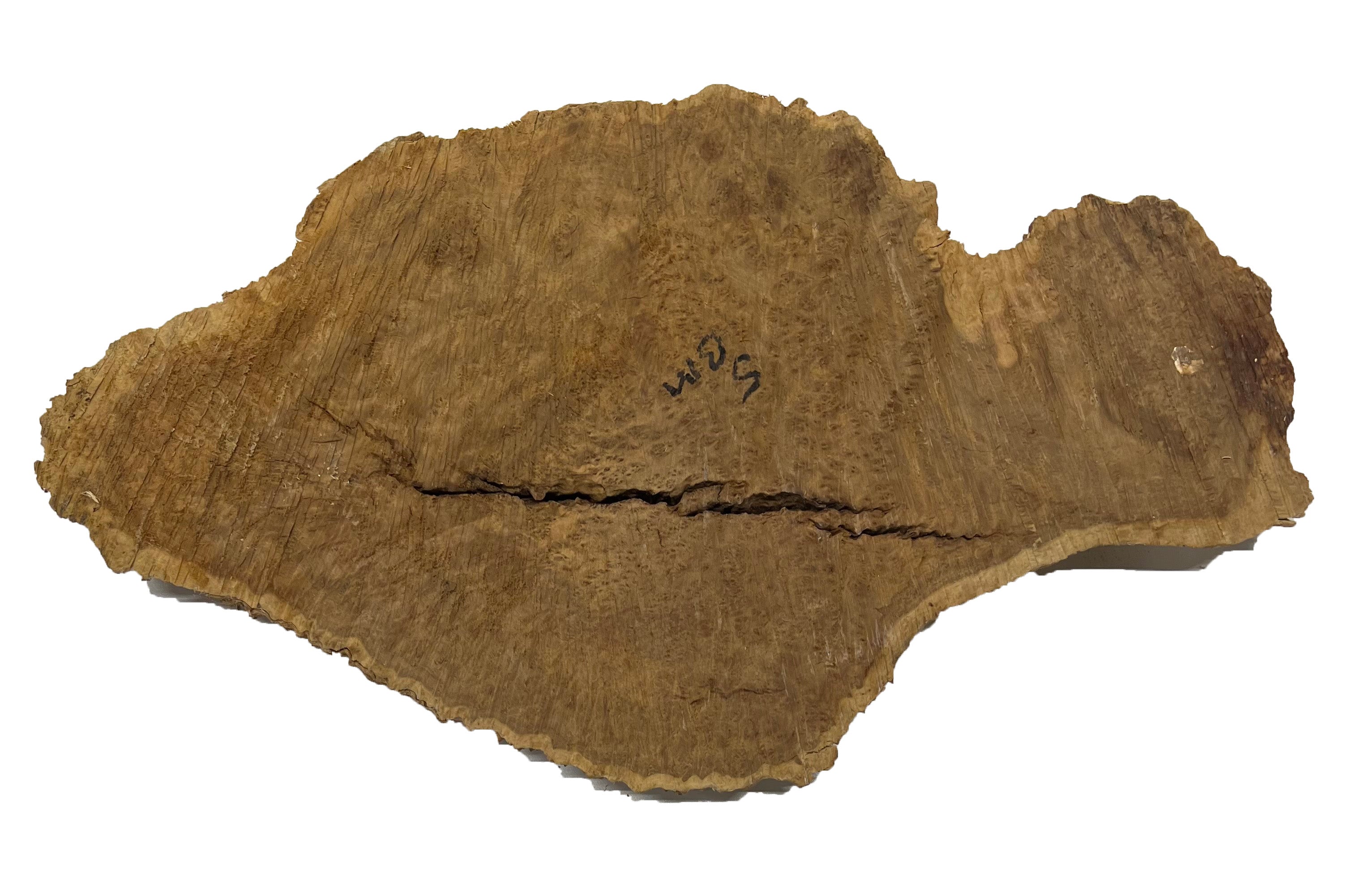 Brown Mallee Burl Cookies | 18" x 10" x 1" | 4.8 lbs | #777 - Exotic Wood Zone - Buy online Across USA 