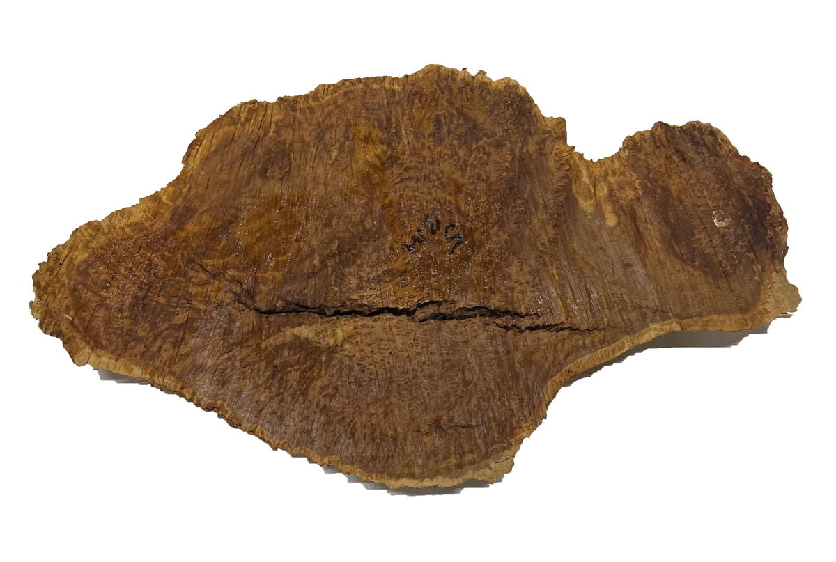 Brown Mallee Burl Cookies | 18" x 10" x 1" | 4.8 lbs | #777 - Exotic Wood Zone - Buy online Across USA 