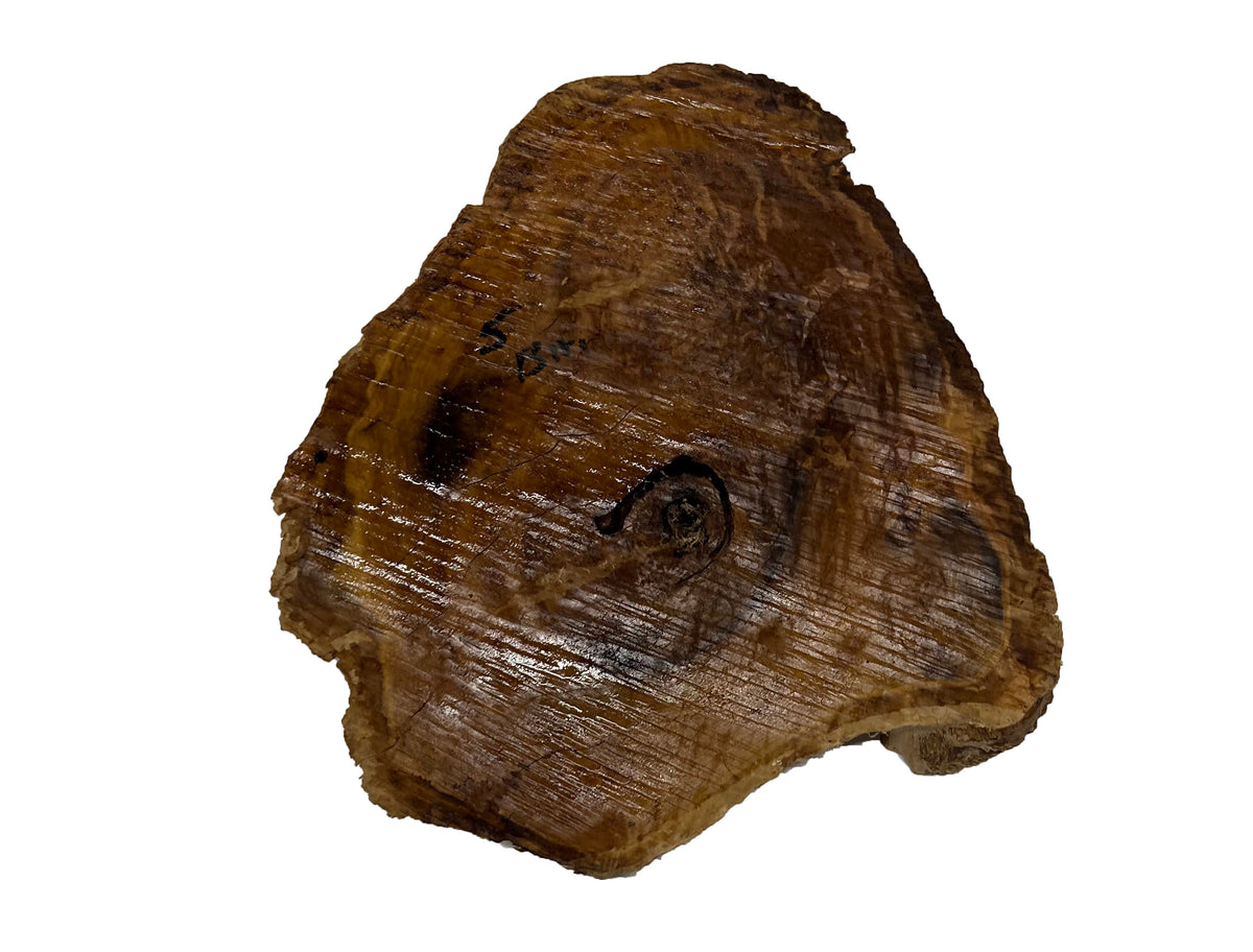 Brown Mallee Burl Cookies | 10" x 9" x 1" | 2.9 lbs | #779 - Exotic Wood Zone - Buy online Across USA 