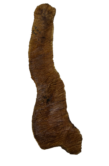 Brown Mallee Burl Cookies | 33" x 6" x 2" | 13.5 lbs | #781 - Exotic Wood Zone - Buy online Across USA 