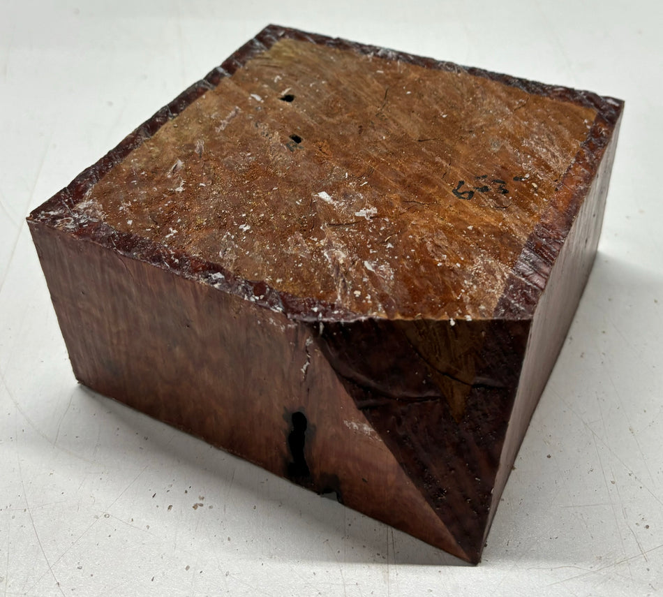 Cuenco de caja amarillo australiano en blanco, 6 x 6 x 3 pulgadas, 2,5 libras | #407