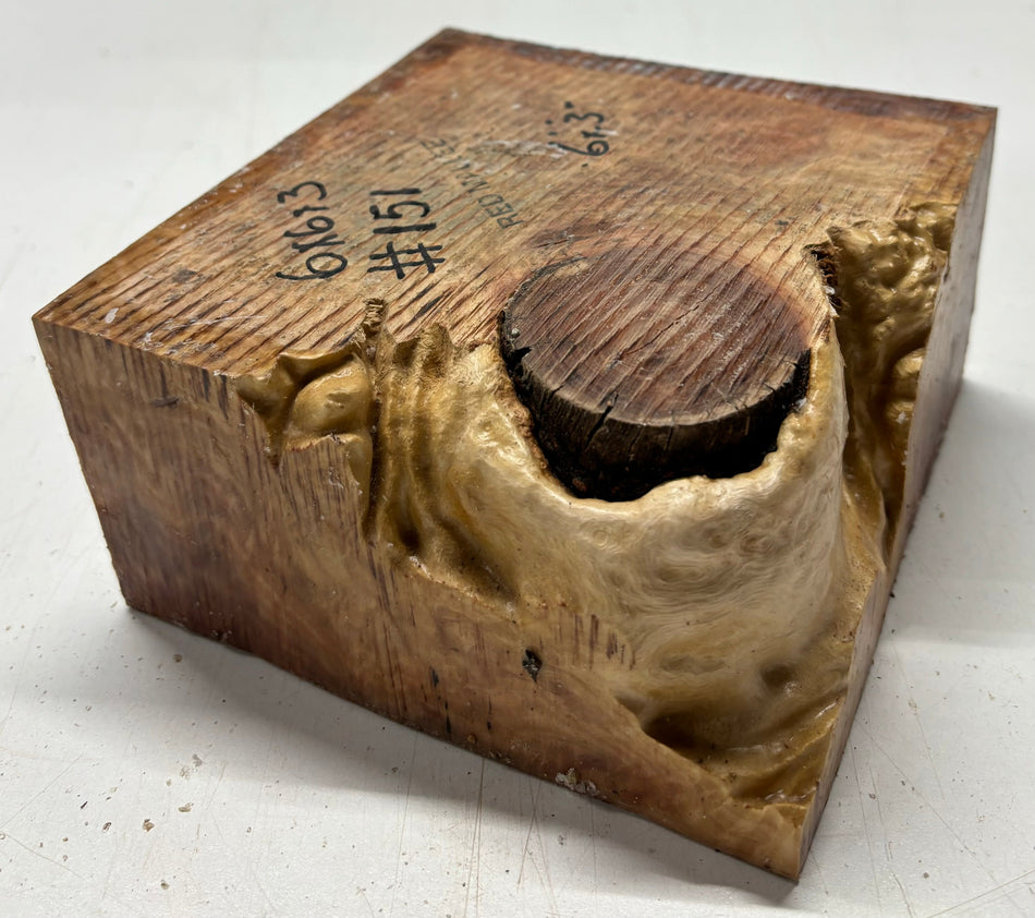 Australian Red Mallee Burl Wood Bowl Blank, 6" x 6" x 3" | #151 Exotic Wood Zone 