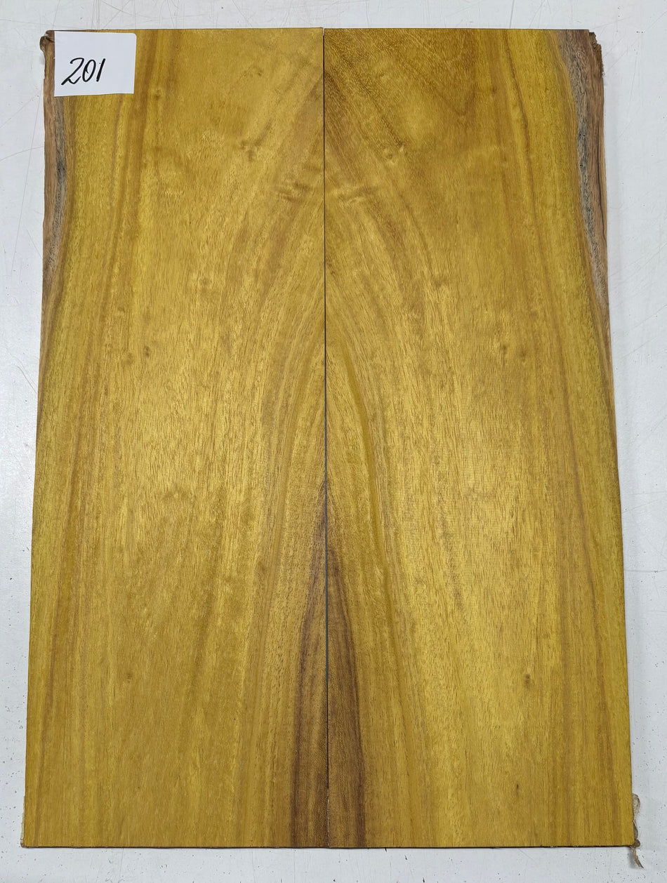 Osage Orange Guitar Drop Top 22" x 8" x 3/8" #201