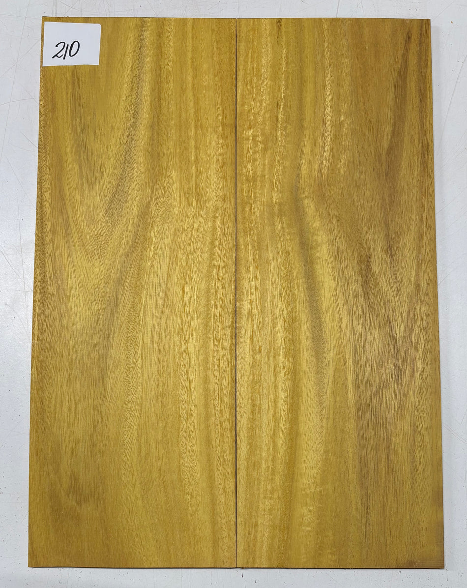 Osage Orange Guitar Drop Top 22" x 8" x 3/8" #210